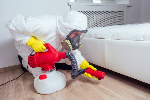 Best Real Estate Pest Inspections  in Franklin, NC